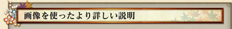 画像を使ったより詳しい説明